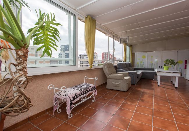 Apartamento en Cullera - Raco Penthouse Cullera Apartamento en Cullera - Raco Penthouse Cullera
