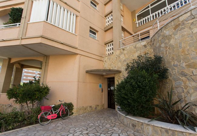 Apartamento en Cullera - Raco Penthouse Cullera Apartamento en Cullera - Raco Penthouse Cullera