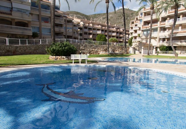 Apartamento en Cullera - Raco Penthouse Cullera Apartamento en Cullera - Raco Penthouse Cullera