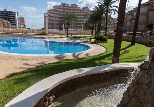 Apartamento en Cullera - Raco Penthouse Cullera Apartamento en Cullera - Raco Penthouse Cullera