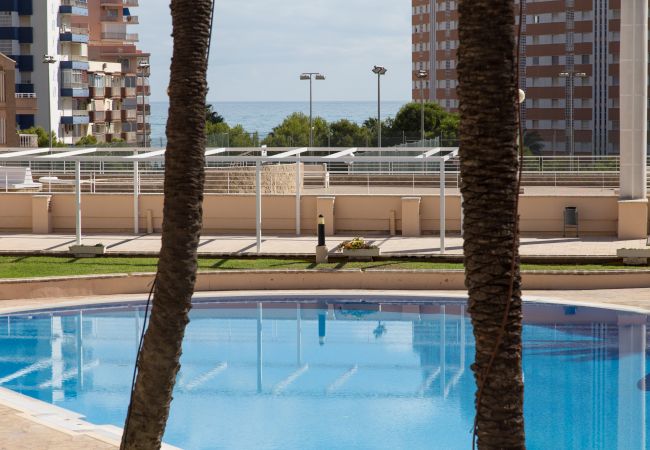 Apartamento en Cullera - Raco Penthouse Cullera Apartamento en Cullera - Raco Penthouse Cullera