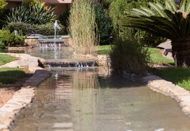 Apartamento en Cullera - Raco Penthouse Cullera Apartamento en Cullera - Raco Penthouse Cullera