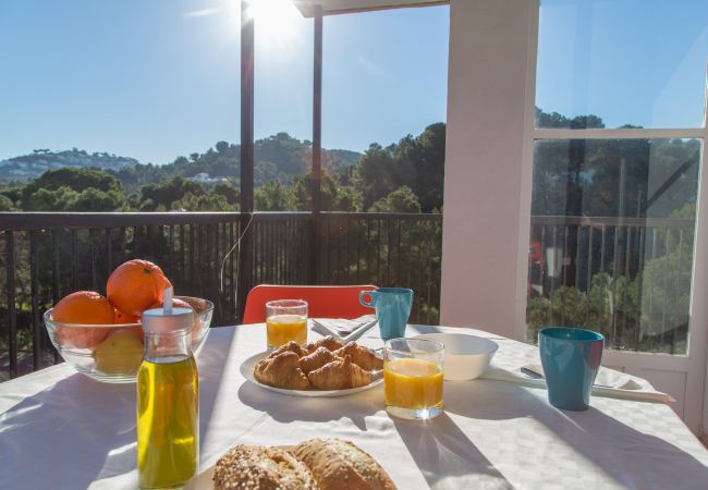 Apartamento en Denia - Las Rotas Apartment Apartamento en Denia - Las Rotas Apartment