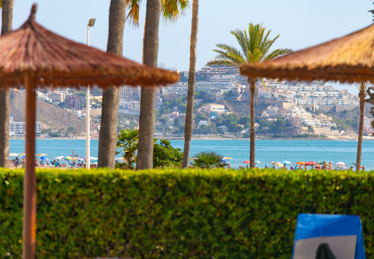 Apartamento en Cullera -  Cullera Beach Apartment Espacio