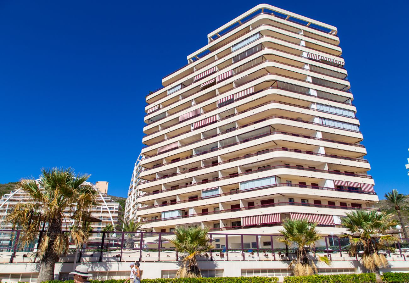 Apartment in Cullera - Florazar Apartment Cullera Beachfront