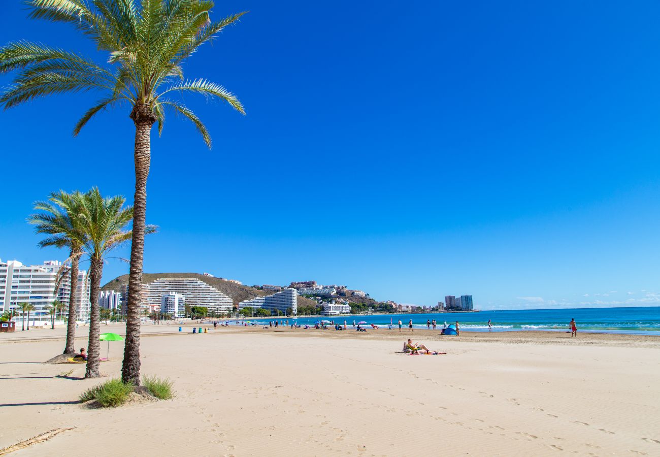 Apartment in Cullera - Florazar Apartment Cullera Beachfront