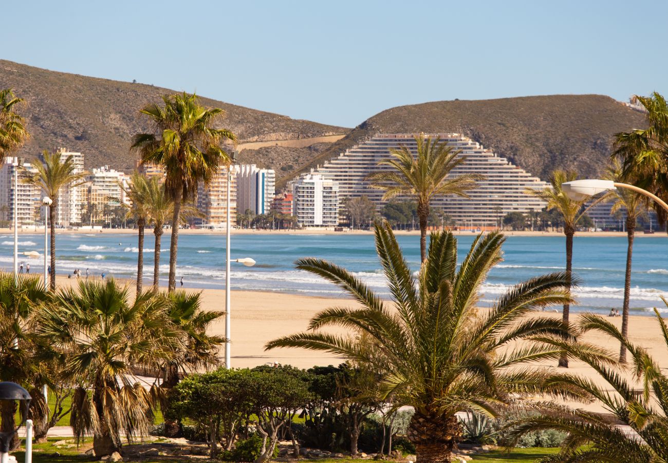 Apartment in Cullera - Beachfront apartment Cullera Espacio MJ