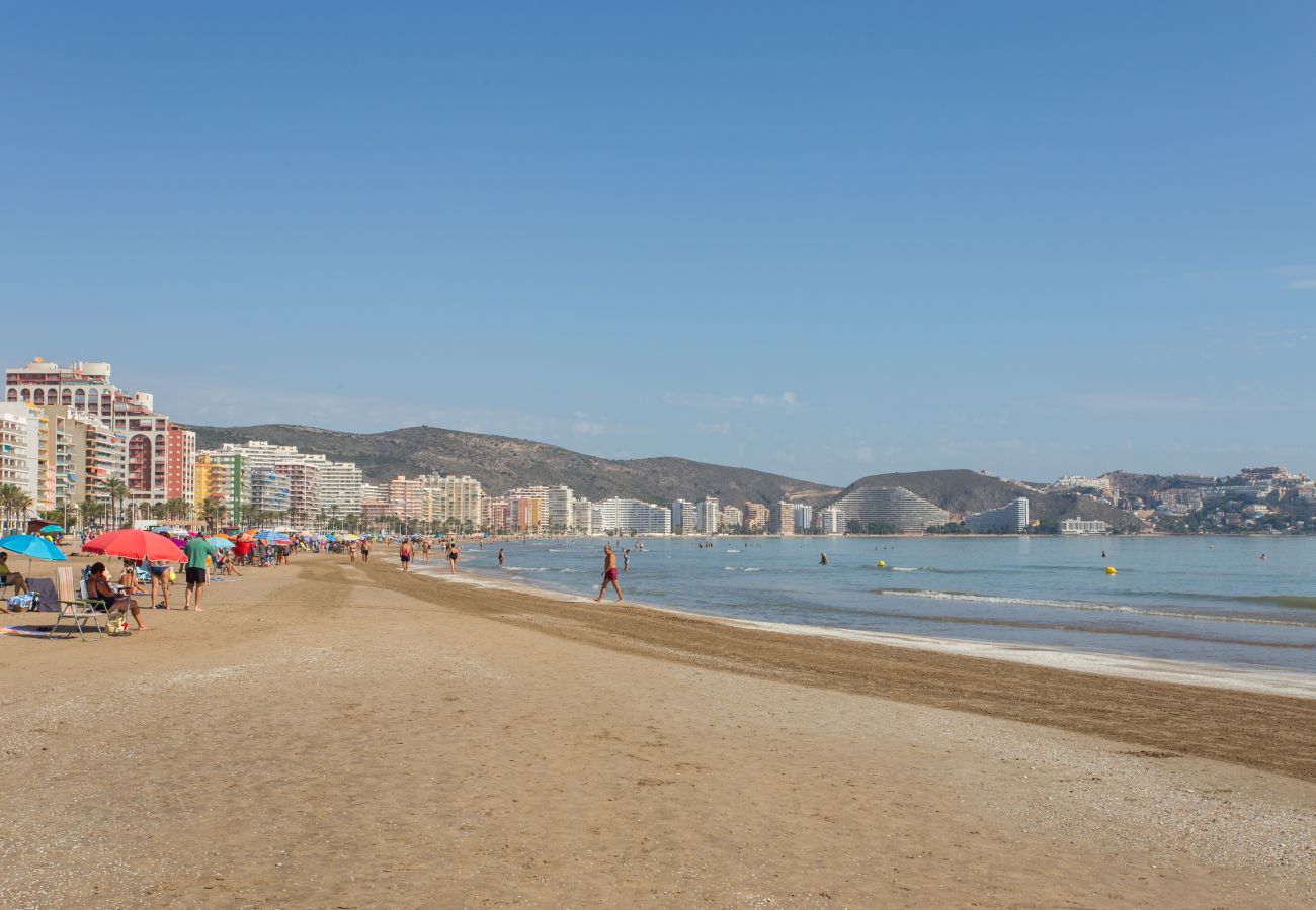 Apartment in Cullera - Sunny Terrace Apartment Cullera 5P