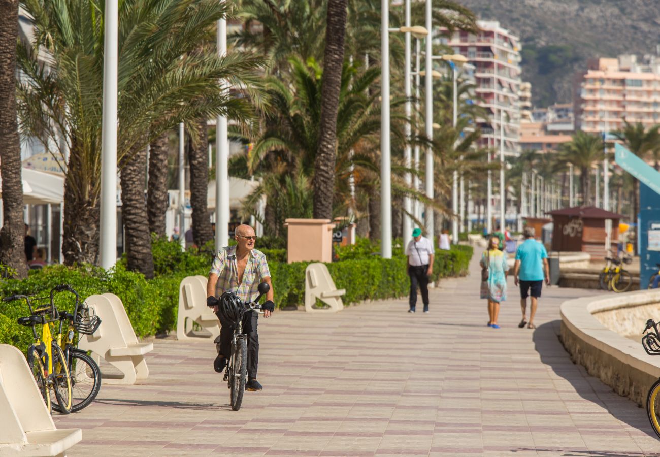 Apartment in Cullera - Sunny Terrace Apartment Cullera 5P