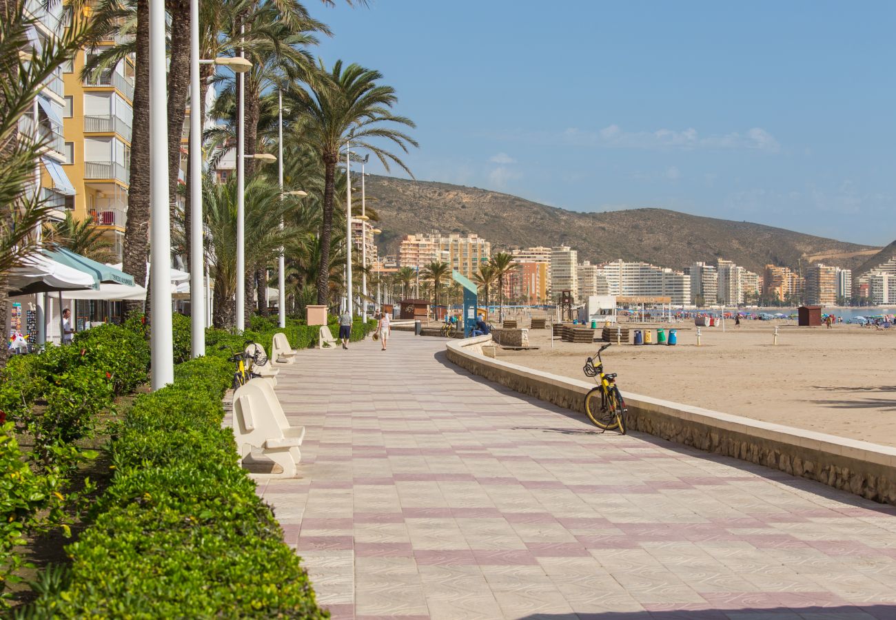 Apartment in Cullera - Sunny Terrace Apartment Cullera 5P