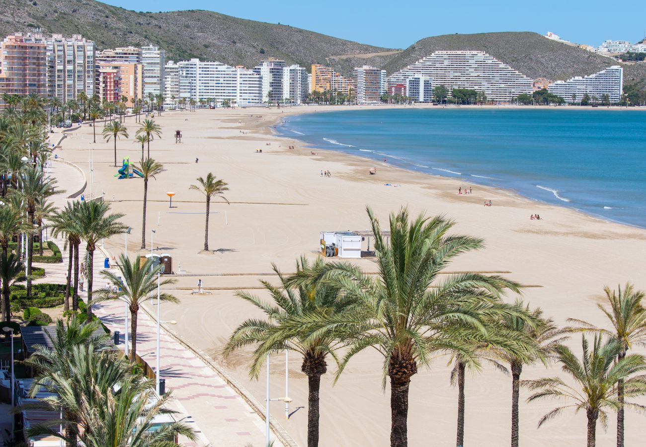 Apartment in Cullera - Cullera Beachfront Terrace Apartment